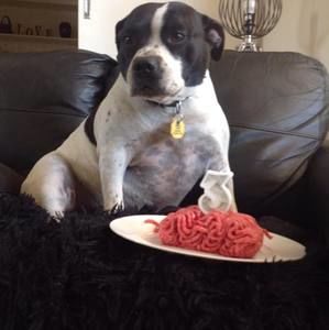 Meet your Posher, Heidi